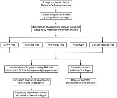 Identification of Alzheimer’s Disease Molecular Subtypes Based on Parallel Large-Scale Sequencing